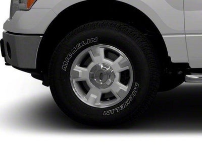 2010 Ford F-150 STX